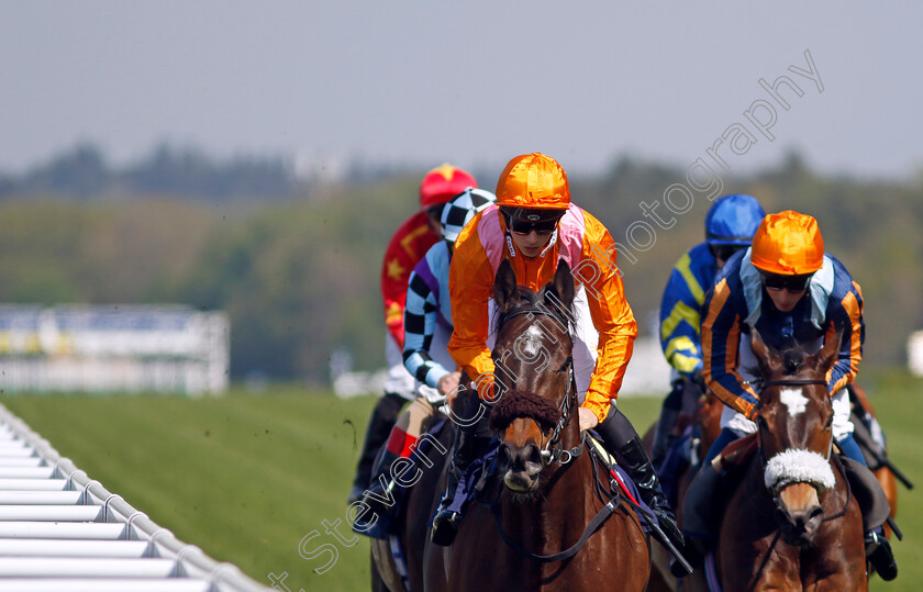 Rajinsky-0002 
 RAJINSKY (Harry Davies)
Ascot 3 May 2023 - Pic Steven Cargill / Racingfotos.com