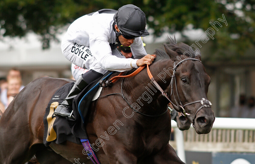 Detail-0008 
 DETAIL (Sean Levey) wins The Black Type Accountancy British EBF Restricted Novice Stakes
Newmarket 24 Jun 2021 - Pic Steven Cargill / Racingfotos.com