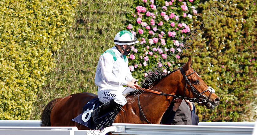 Youth-Spirit-0011 
 YOUTH SPIRIT (Tom Marquand) after The Chester Vase
Chester 5 May 2021 - Pic Steven Cargill / Racingfotos.com