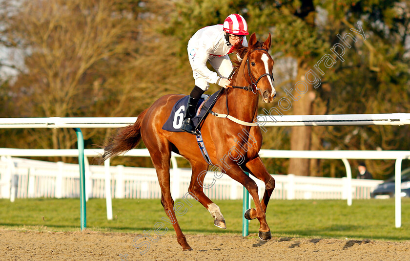 Resounding-Silence-0001 
 RESOUNDING SILENCE (P J McDonald)
Lingfield 18 Jan 2019 - Pic Steven Cargill / Racingfotos.com