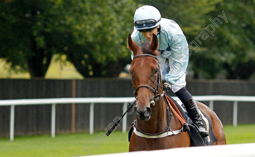 Reina-Del-Mar-0007 
 REINA DEL MAR (Saffie Osborne) winner of The Turners Handicap
Newmarket 5 Aug 2023 - Pic Steven Cargill / Racingfotos.com