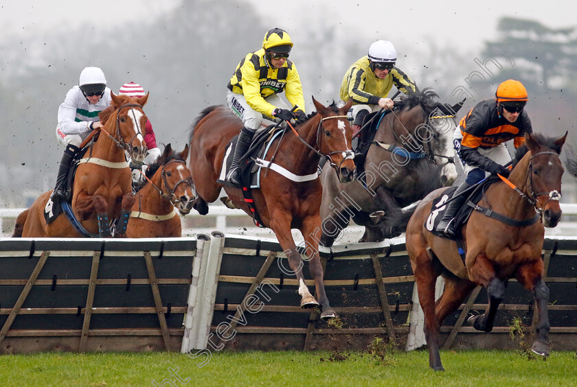 Lulamba-0005 
 LULAMBA (centre, Nico de Boinville) wins the Betmgm Juvenile Hurdle
Ascot 18 Jan 2025 - Pic Steven Cargill / Racingfotos.com