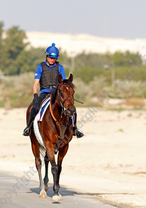 Zakouski-0001 
 ZAKOUSKI exercising in preparation for Friday's Bahrain International Trophy
Sakhir Racecourse, Bahrain 17 Nov 2021 - Pic Steven Cargill / Racingfotos.com