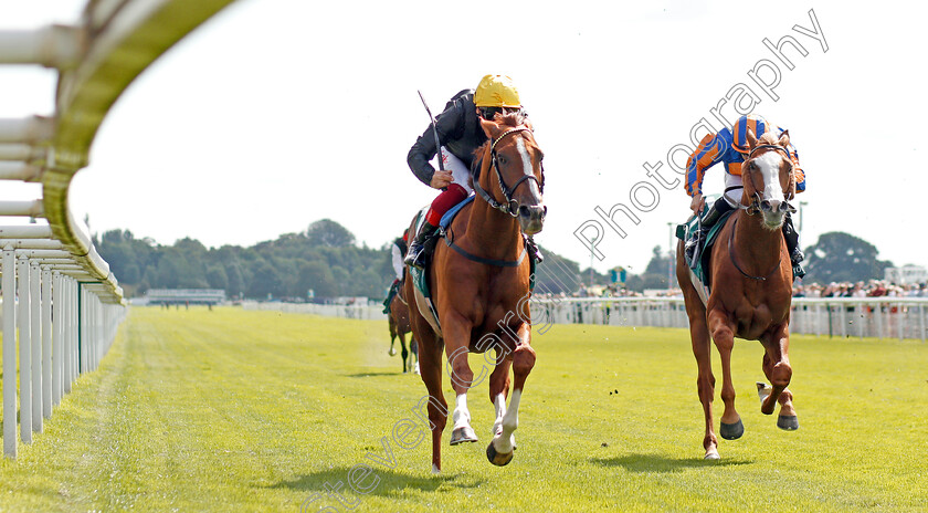 Stradivarius-0005 
 STRADIVARIUS (Frankie Dettori) beats IL PARADISO (right) in The Weatherbys Hamilton Lonsdale Cup
York 23 Aug 2019 - Pic Steven Cargill / Racingfotos.com