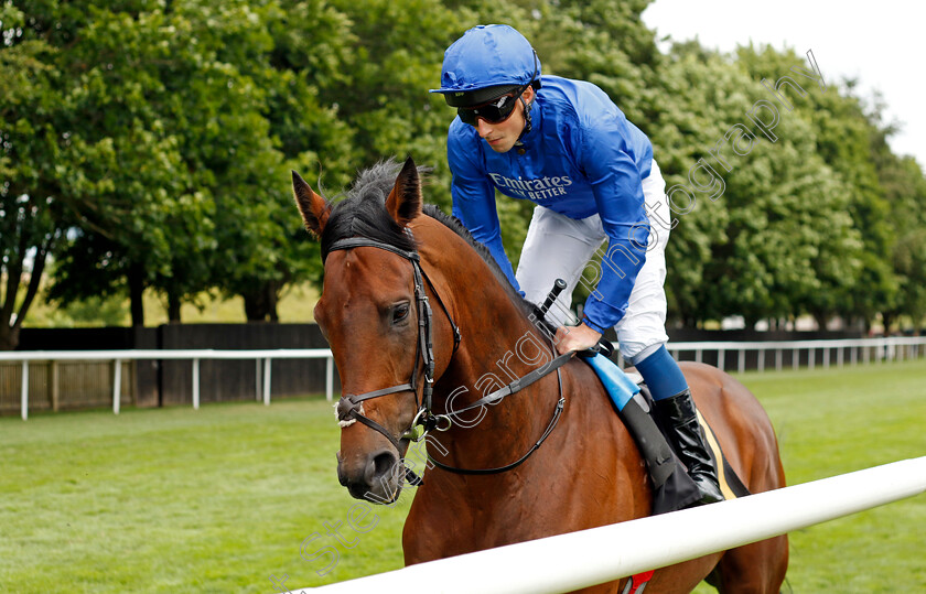 New-London-0002 
 NEW LONDON (William Buick)
Newmarket 1 Jul 2023 - Pic Steven Cargill / Racingfotos.com