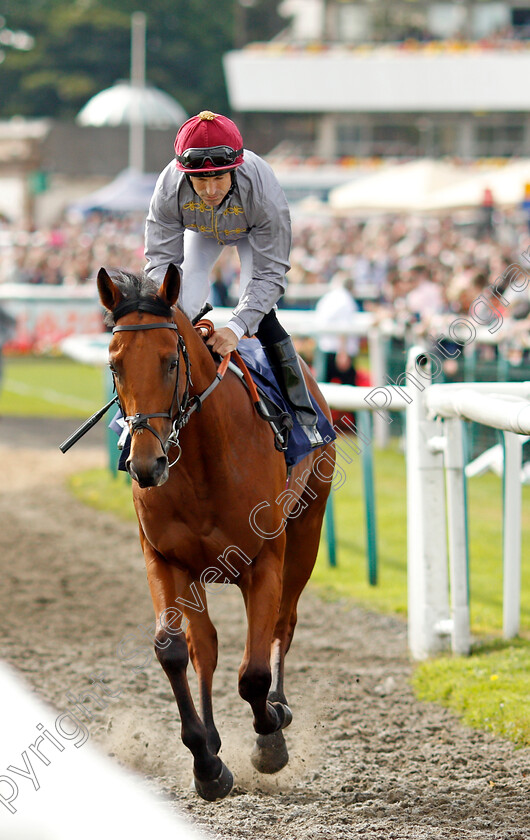 Lusail-0001 
 LUSAIL (Pat Dobbs)
Doncaster 11 Sep 2021 - Pic Steven Cargill / Racingfotos.com