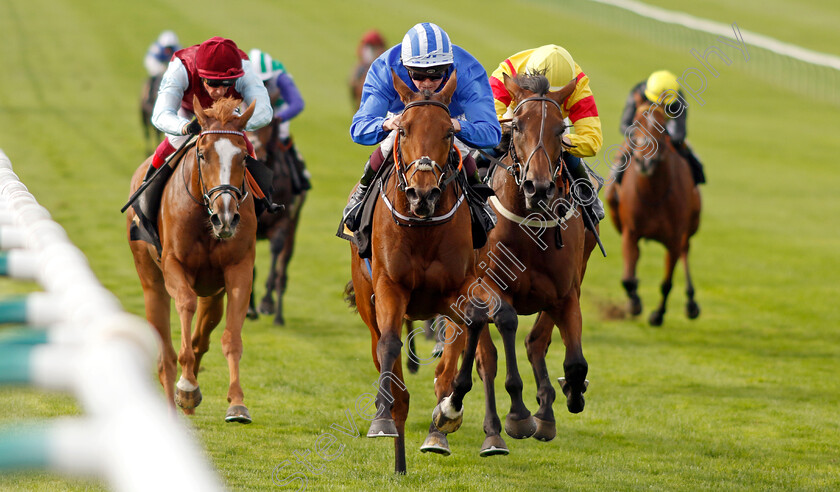 Vera-Verto-0002 
 VERA VERTO (Rob Hornby) wins The British EBF 40th Anniversary Premier Fillies Handicap
Newmarket 7 Oct 2023 - Pic Steven Cargill / Racingfotos.com