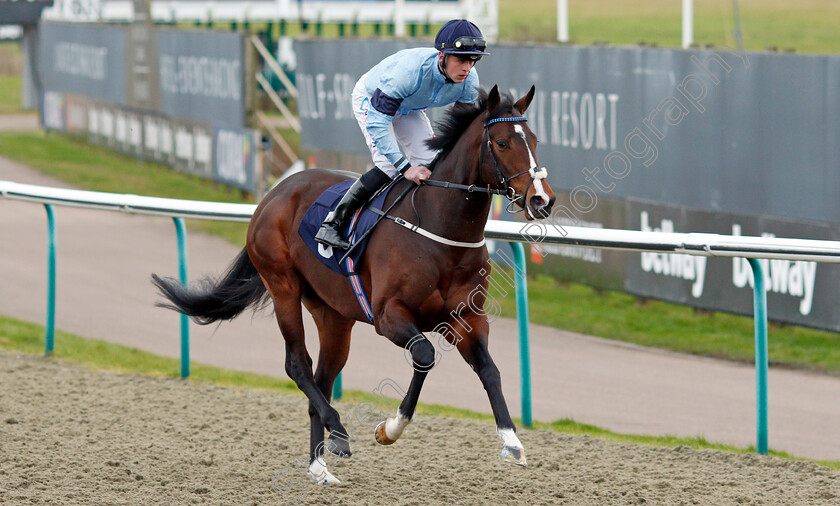 Spycatcher-0003 
 SPYCATCHER (Clifford Lee) winner of The Betway Kachy Stakes
Lingfield 5 Feb 2022 - Pic Steven Cargill / Racingfotos.com