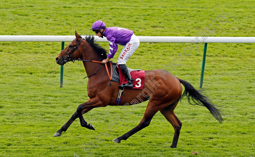 Sir-Maxi-0001 
 SIR MAXI (Tom Marquand)
Haydock 29 May 2021 - Pic Steven Cargill / Racingfotos.com