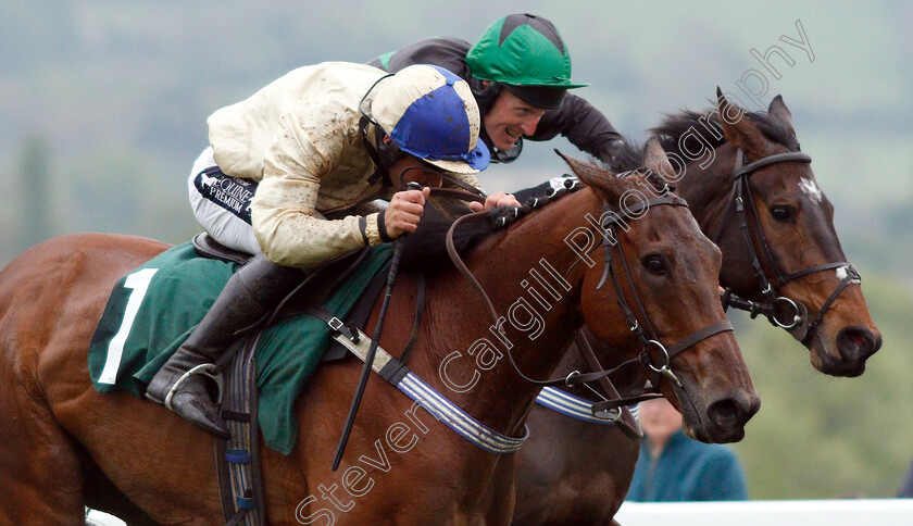 Hazel-Hill-0008 
 HAZEL HILL (nearside, Alex Edwards) beats CARYTO DES BROSSES (farside) in The Timico Mixed Open Gold Cup Final Hunters Chase
Cheltenham 3 May 2019 - Pic Steven Cargill / Racingfotos.com