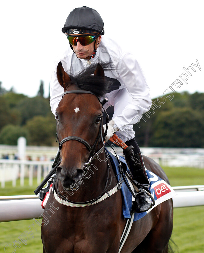 Chilean-0001 
 CHILEAN (Gerald Mosse)
York 25 Aug 2018 - Pic Steven Cargill / Racingfotos.com