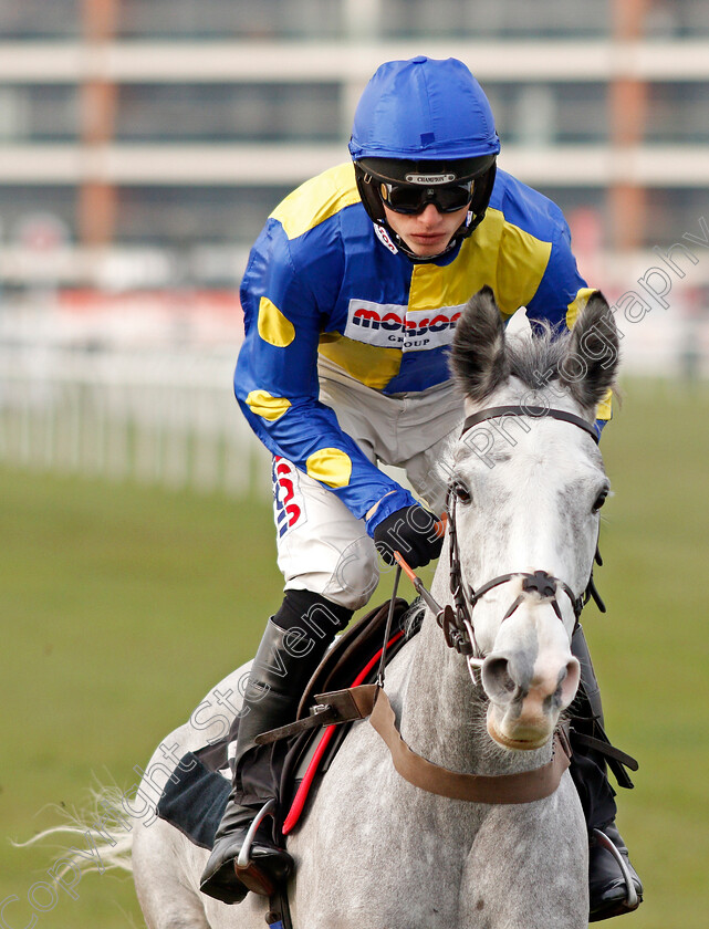 Silver-Forever-0002 
 SILVER FOREVER (Harry Cobden)
Newbury 30 Nov 2019 - Pic Steven Cargill / Racingfotos.com