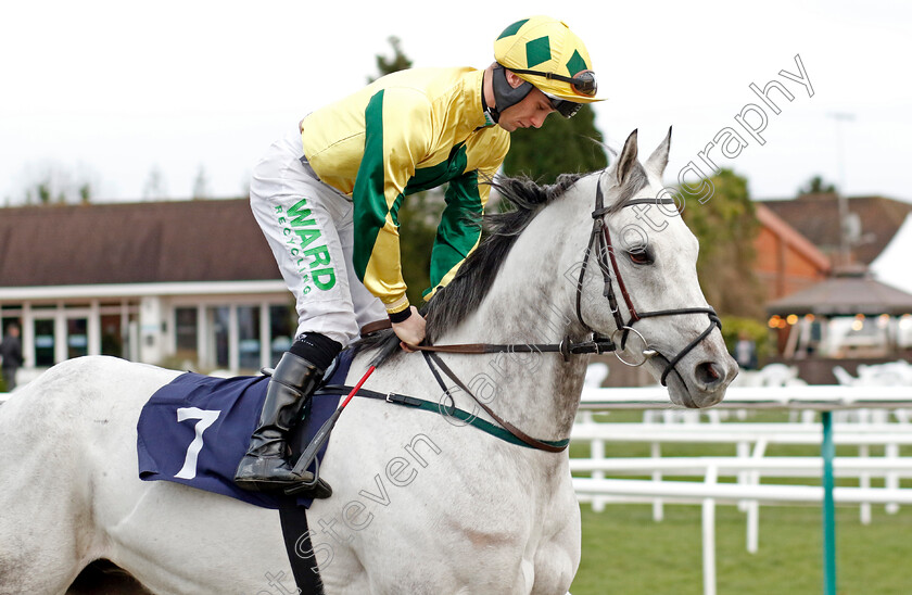 Lord-Riddiford-0001 
 LORD RIDDIFORD (Jason Hart)
Lingfield 20 Jan 2024 - Pic Steven Cargill / Racingfotos.com