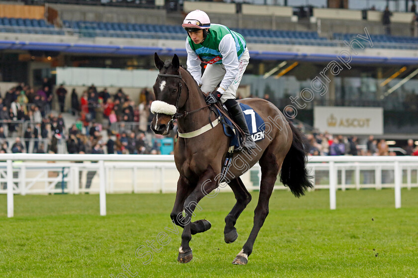 Carbon-King-0001 
 CARBON KING (Conor Ring)
Ascot 21 Dec 2024 - Pic Steven Cargill / Racingfotos.com