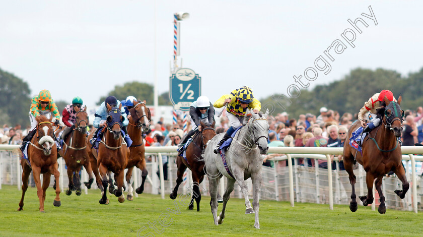 Alfred-Boucher-0001 
 ALFRED BOUCHER (William Buick) beats FRANKENSTELLA (right) in The Sky Bet Stayers Handicap
York 17 Aug 2022 - Pic Steven Cargill / Racingfotos.com