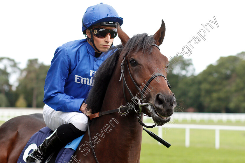 Magic-Illusion-0002 
 MAGIC ILLUSION (William Buick)
Ascot 8 Sep 2018 - Pic Steven Cargill / Racingfotos.com