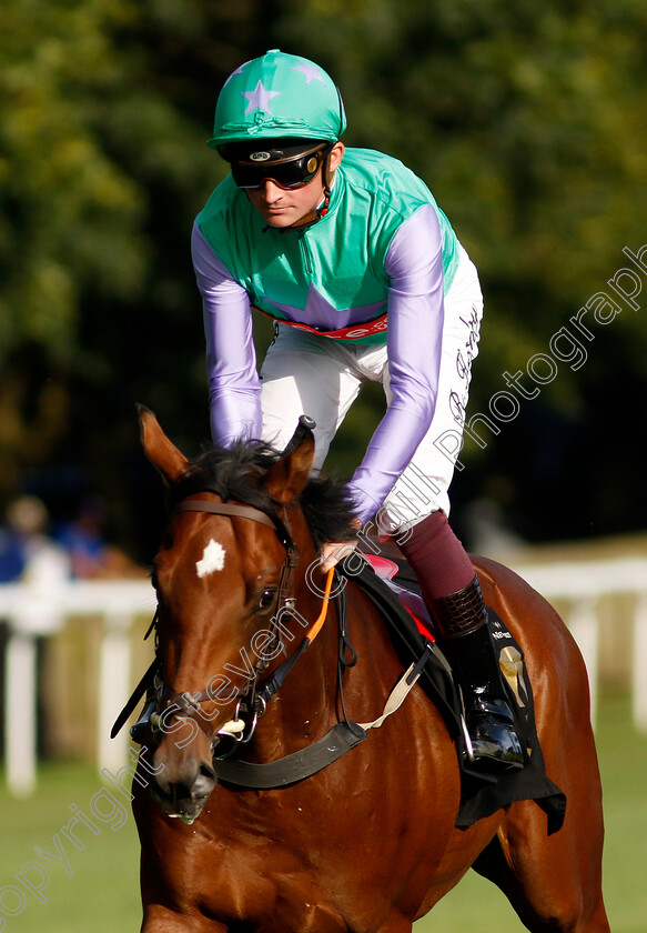 Jiff s-Army-0001 
 JIFF'S ARMY (Rob Hornby)
Newmarket 9 Aug 2024 - Pic Steven Cargill / Racingfotos.com