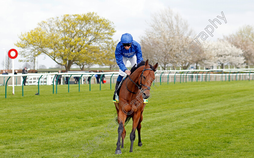 Ottoman-Fleet-0007 
 OTTOMAN FLEET (William Buick) winner of The bet365 Earl of Sefton Stakes
Newmarket 18 Apr 2023 - Pic Steven Cargill / Racingfotos.com