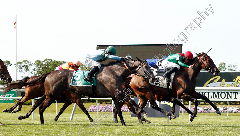 La-Sardane-0004 
 LA SARDANE (Flavien Prat) beats HEAVENLY SCORE (left) in The Intercontinental Stakes
Belmont Park 7 Jun 2018 - Pic Steven Cargill / Racingfotos.com