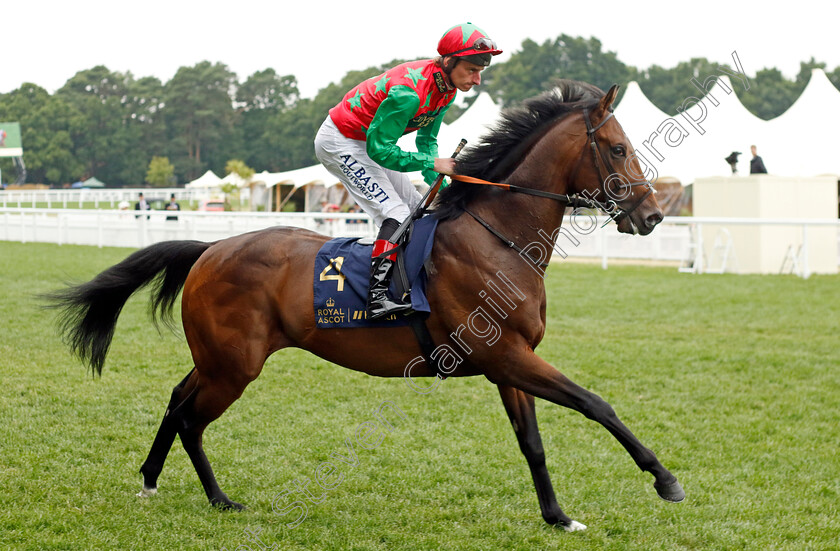 Diligent-Harry 
 DILIGENT HARRY (Adam Kirby)
Royal Ascot 18 Jun 2022 - Pic Steven Cargill / Racingfotos.com