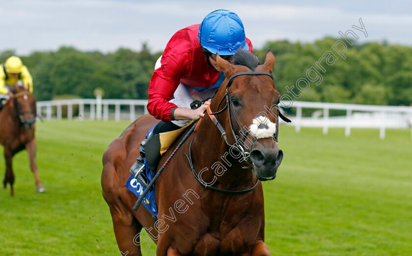 Bay-Bridge-0005 
 BAY BRIDGE (Ryan Moore) wins The Coral Brigadier Gerard Stakes
Sandown 26 May 2022 - Pic Steven Cargill / Racingfotos.com