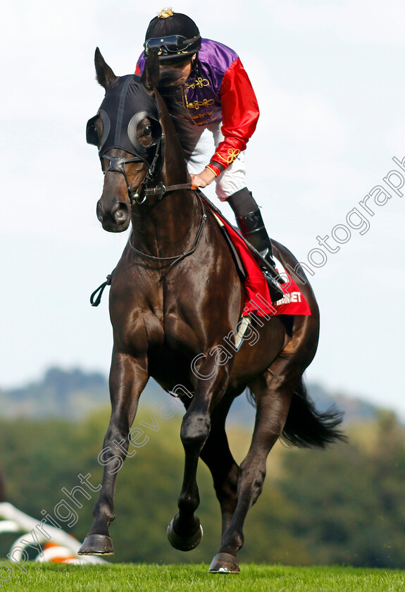 Educator-0002 
 EDUCATOR (Ryan Moore)
Sandown 2 Sep 2023 - Pic Steven Cargill / Racingfotos.com