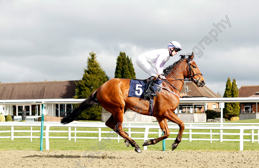 Beerenberg-0001 
 BEERENBERG (Thomas Greatrex) 
Lingfield 9 Mar 2022 - Pic Steven Cargill / Racingfotos.com