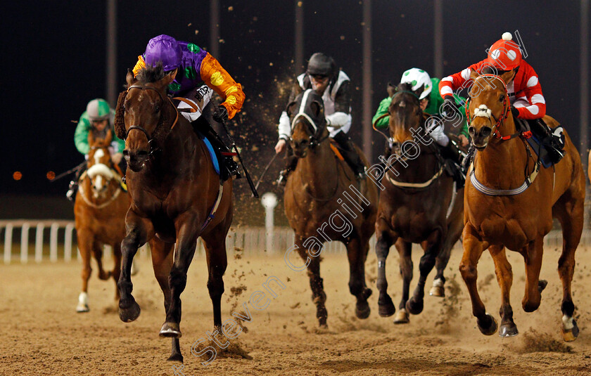 Arnarson-0003 
 ARNARSON (Martin Harley) beats SPARE PARTS (right) in The Bet Trifecta At totesport.com Handicap Chelmsford 15 Feb 2018 - Pic Steven Cargill / Racingfotos.com