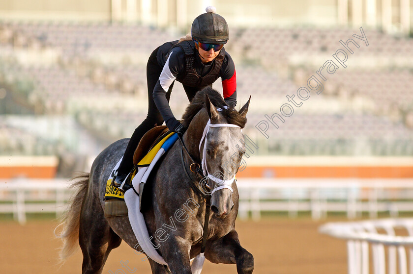 Colonel-Liam-0004 
 COLONEL LIAM training for the Dubai Turf
Meydan, Dubai, 23 Mar 2022 - Pic Steven Cargill / Racingfotos.com