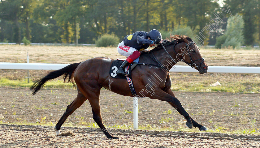 Lady-Lawyer-0005 
 LADY LAWYER (Frankie Dettori) wins The Budweiser Brewing Group Novice Stakes Div1
Chelmsford 23 Jul 2019 - Pic Steven Cargill / Racingfotos.com