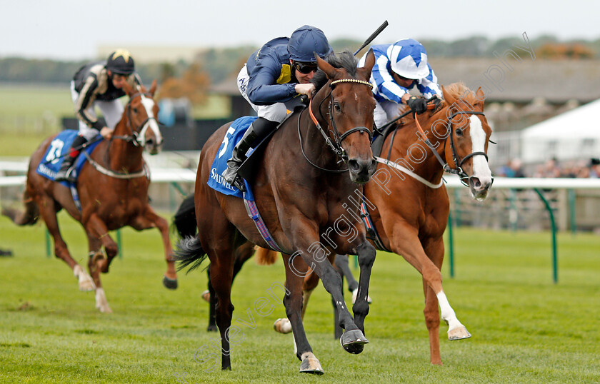 Muffri Ha-0005 
 MUFFRI'HA (Pat Cosgrave) beats TISBUTADREAM (right) in The Muhaarar British EBF Rosemary Stakes Newmarket 29 Sep 2017 - Pic Steven Cargill / Racingfotos.com