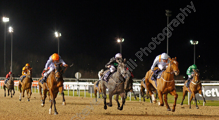 Watheer-0001 
 WATHEER (right, Ben Curtis) beats WHERE NEXT JO (centre) and JEN'S LAD (left) in The Bombardier Golden Beer Classified Stakes
Wolverhampton 21 Feb 2020 - Pic Steven Cargill / Racingfotos.com