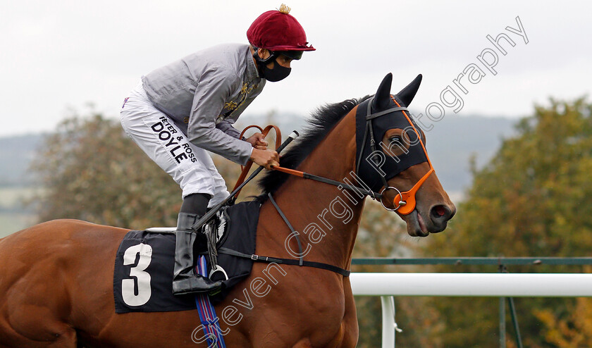 Al-Dawodiya-0002 
 AL DAWODIYA (Sean Levey)
Goodwood 23 Sep 2020 - Pic Steven Cargill / Racingfotos.com