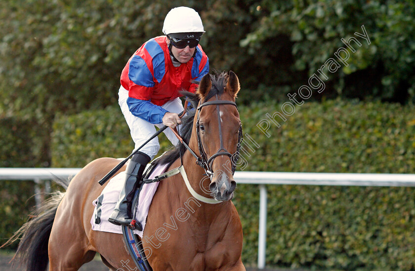 This-Is-My-Half 
 THIS IS MY HALF (Robert Winston)
Kempton 6 Oct 2021 - Pic Steven Cargill / Racingfotos.com