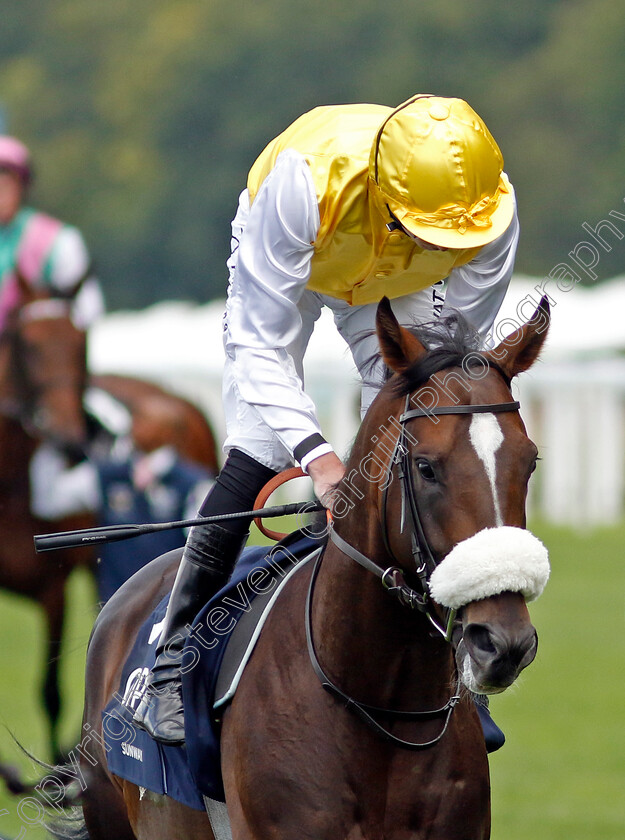 Sunway-0003 
 SUNWAY (James Doyle)
Ascot 27 Jul 2024 - Pic Steven Cargill / Racingfotos.com