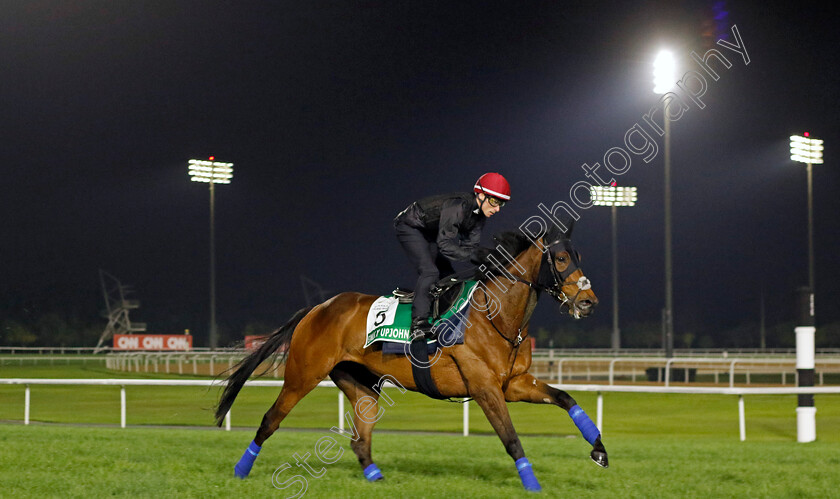 Emily-Upjohn-0001 
 EMILY UPJOHN (Kieran Shoemark) training for The Sheema Classic
Meydan Dubai 28 Mar 2024 - Pic Steven Cargill / Racingfotos.com