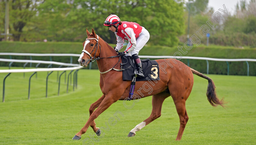 Umming-N -Ahing-0001 
 UMMING N' AHING (Rose Dawes) winner of The Castle Rock Neil Kelso Memorial Handicap
Nottingham 22 Apr 2023 - pic Steven Cargill / Becky Bailey / Racingfotos.com