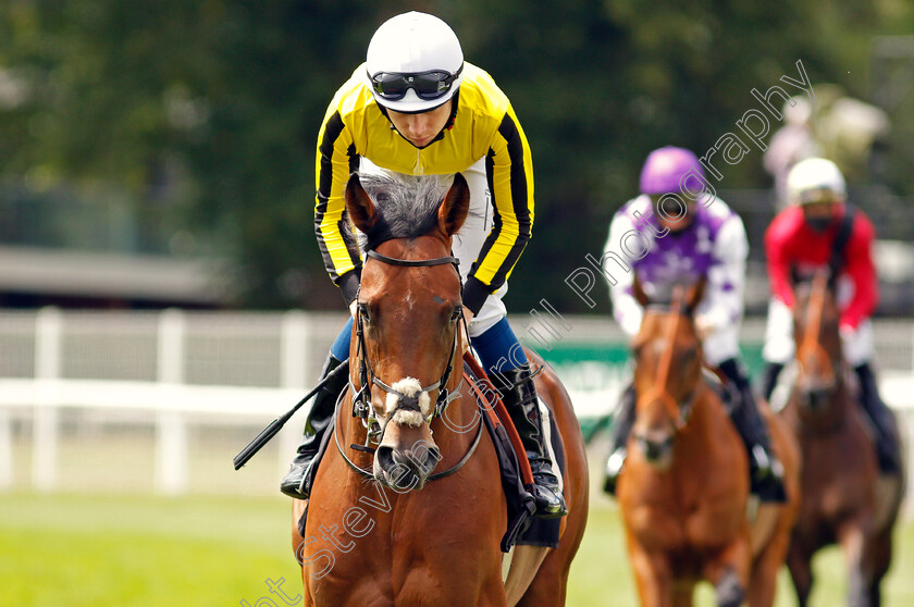 Aesthete-0001 
 AESTHETE (Callum Shepherd)
Newbury 19 Jul 2020 - Pic Steven Cargill / Racingfotos.com