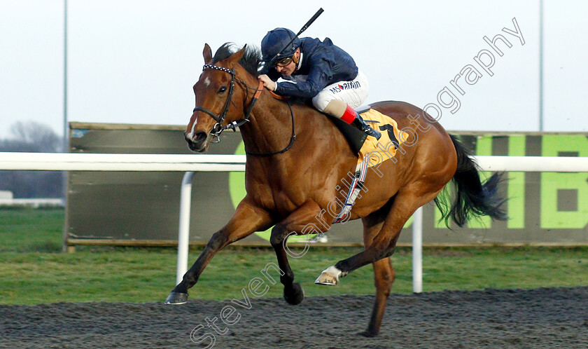 Velvet-Morn-0002 
 VELVET MORN (Andrea Atzeni) wins The 32Red Casino Novice Stakes
Kempton 23 Mar 2019 - Pic Steven Cargill / Racingfotos.com