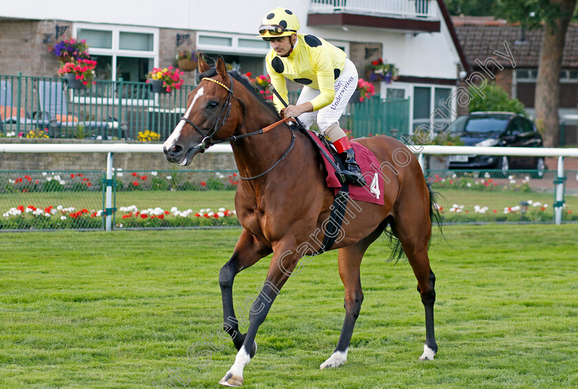 Dubai-Poet-0001 
 DUBAI POET (Andrea Atzeni)
Haydock 1 Sep 2022 - Pic Steven Cargill / Racingfotos.com