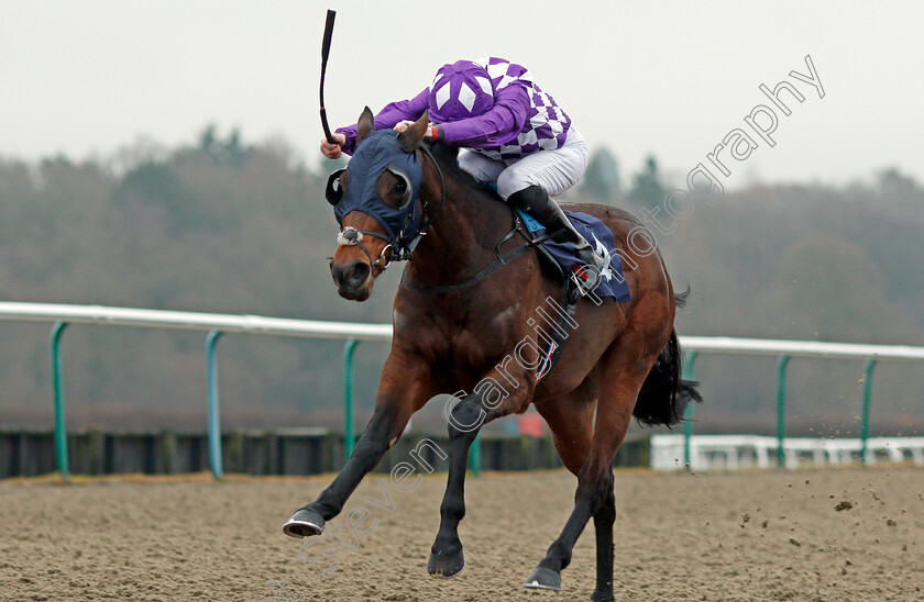 The-Mums-0002 
 THE MUMS (Robert Havlin) Lingfield 20 Dec 2017 - Pic Steven Cargill / Racingfotos.com