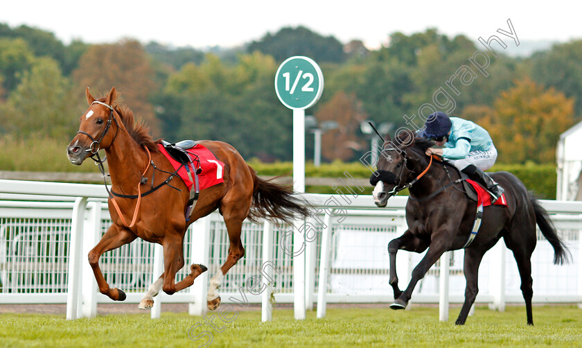 Archetype-0003 
 MADELEINE BOND runs loose as ARCHETYPE (Oisin Murphy) wins The All New Fiesta At Trust Ford Handicap Sandown 1 Sep 2017 - Pic Steven Cargill / Racingfotos.com