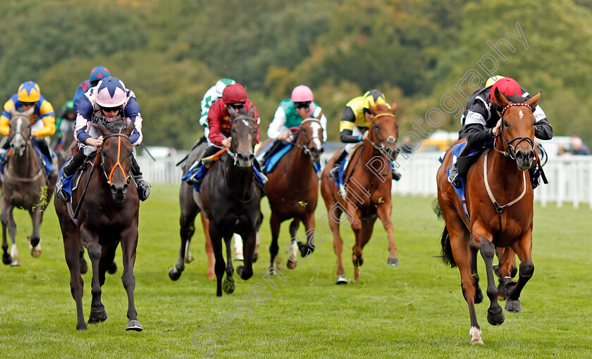 Herecomesthesun-0003 
 HERECOMESTHESUN (right, Edward Greatrex) beats BLANCHEFLEUR (left) in The British EBF Quidhampton Maiden Fillies Stakes Div1 Salisbury 7 Sep 2017 - Pic Steven Cargill / Racingfotos.com