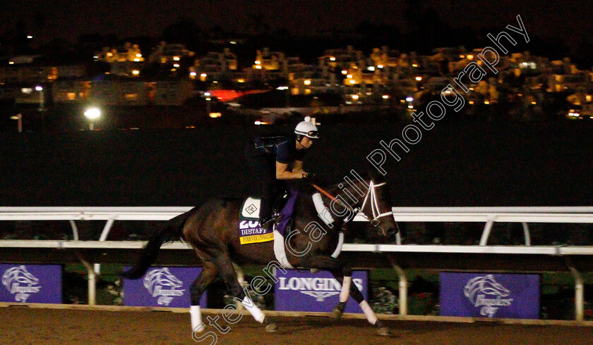 Forever-Unbridled-0001 
 FOREVER UNBRIDLED training for The Breeders' Cup Distaff at Del Mar USA 31 Oct 2017 - Pic Steven Cargill / Racingfotos.com