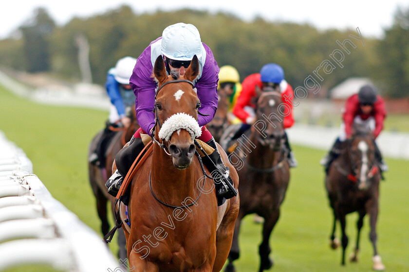 Quickstep-Lady-0007 
 QUICKSTEP LADY (Oisin Murphy) wins The Ladbrokes Giving Extra Places Every Day Novice Stakes
Goodwood 28 Aug 2020 - Pic Steven Cargill / Racingfotos.com