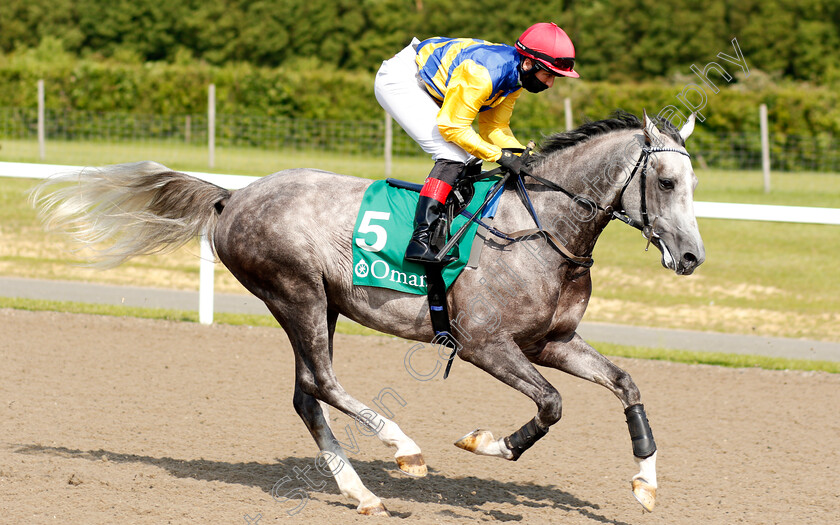 Heritage-Valentino-0001 
 HERITAGE VALENTINO (Jamie Gambin)
Chelmsford 3 Jun 2021 - Pic Steven Cargill / Racingfotos.com