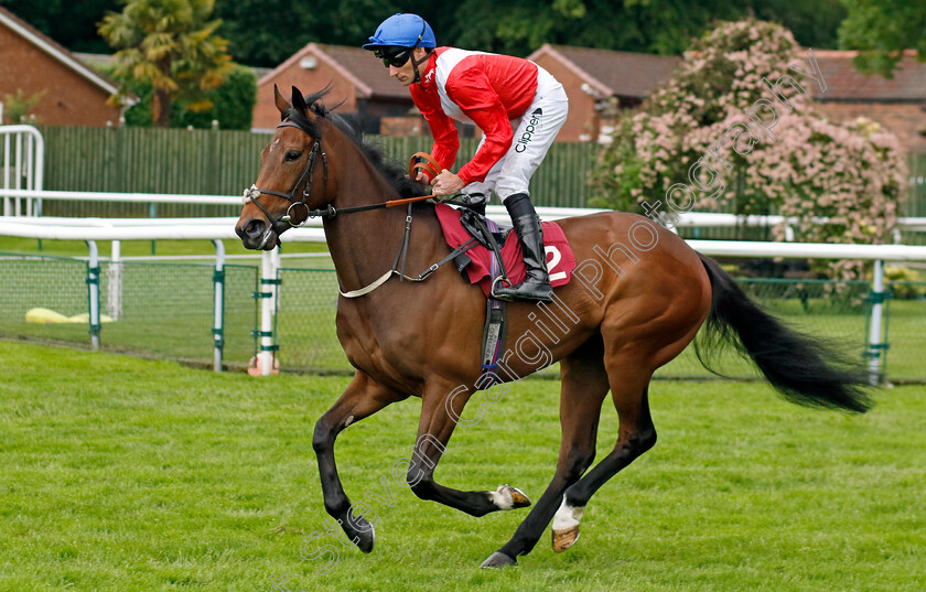 Never-Ending-0006 
 NEVER ENDING (Daniel Tudhope) winner of The Betfred Macmillan Race Day Handicap
Haydock 24 May 2024 - Pic Steven Cargill / Racingfotos.com