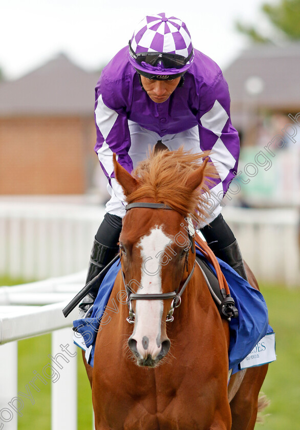 Gisburn 
 GISBURN (Sean Levey)
York 11 Jun 2022 - Pic Steven Cargill / Racingfotos.com