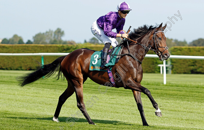 Elegant-Madame-0001 
 ELEGANT MADAME (Kevin Stott)
Leopardstown 9 Sep 2023 - Pic Steven Cargill / Racingfotos.com