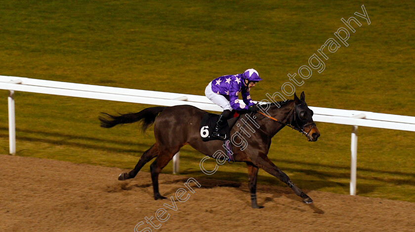 Captain-Lars-wins-0005 
 CAPTAIN LARS (Patrick Mathers) wins The Bet totetrifecta At betfred.com Claiming Stakes Chelmsford 23 Nov 2017 - Pic Steven Cargill / Racingfotos.com